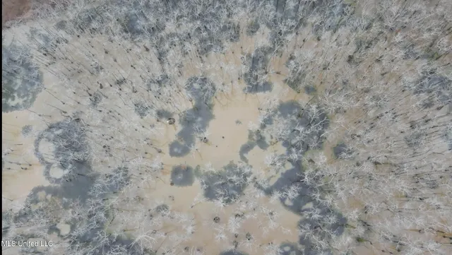 $145,000 | 526 County Road, Minter City, MS 38944