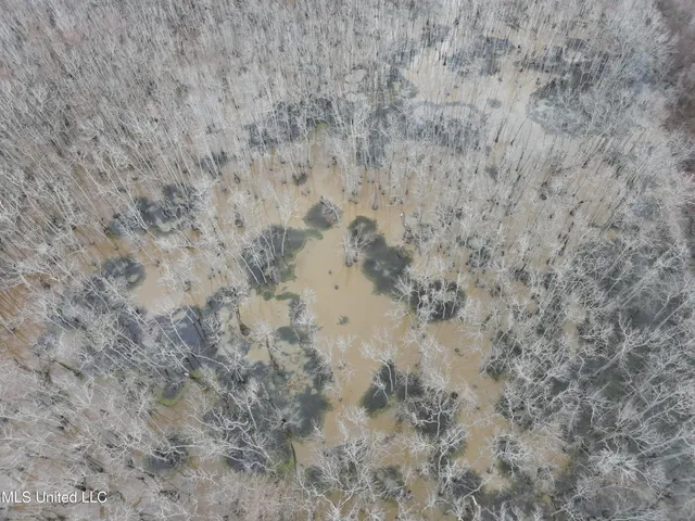 $145,000 | 526 County Road, Minter City, MS 38944