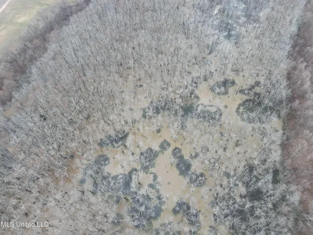 $145,000 | 526 County Road, Minter City, MS 38944