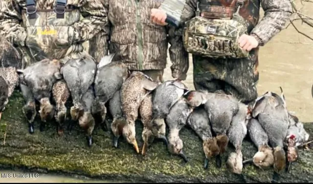 $145,000 | 526 County Road, Minter City, MS 38944