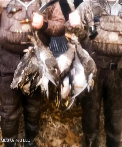 $145,000 | 526 County Road, Minter City, MS 38944