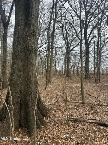 $145,000 | 526 County Road, Minter City, MS 38944