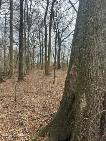 $145,000 | 526 County Road, Minter City, MS 38944