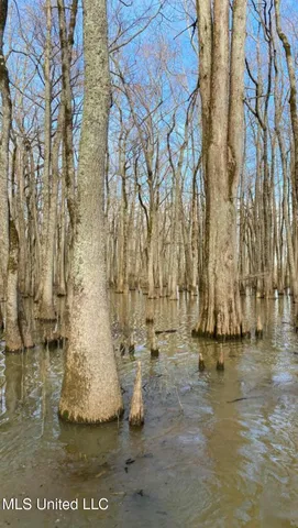 $145,000 | 526 County Road, Minter City, MS 38944