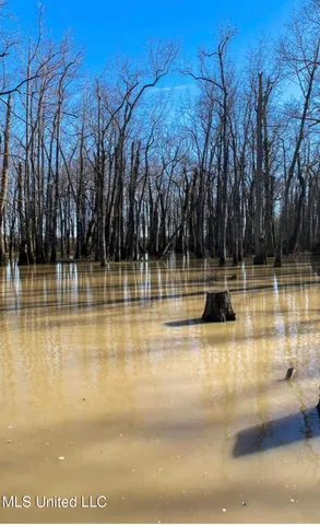 $145,000 | 526 County Road, Minter City, MS 38944