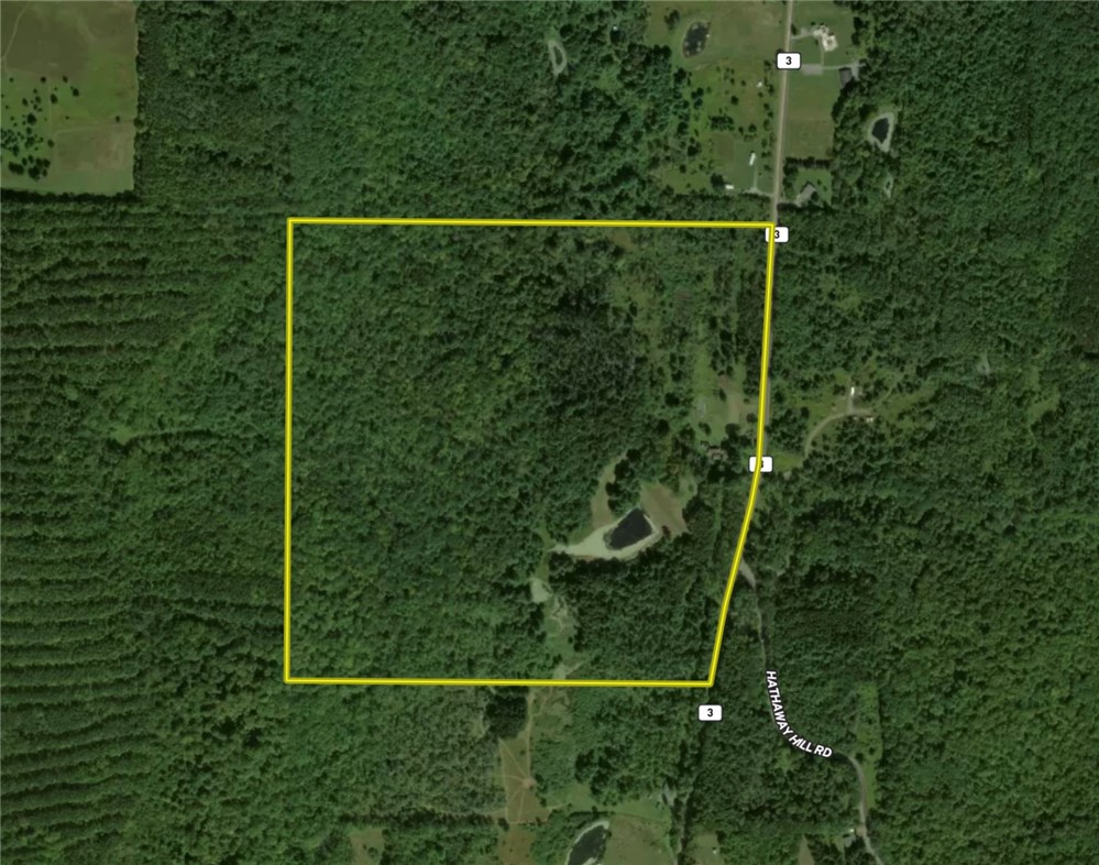 450 Dean Creek Road Spencer, NY 14883 - Photo 47 of 50