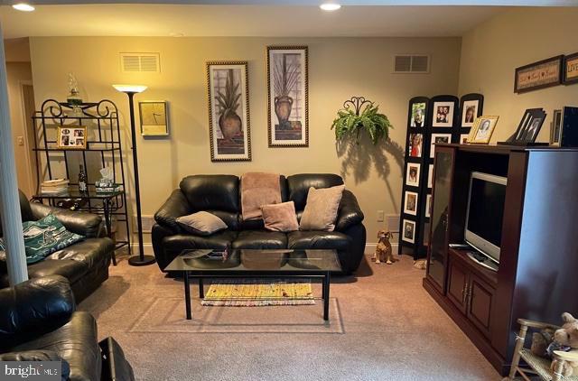 32 Greythorne Road Lancaster, PA 17603 - Photo 14 of 20 Amazing family room in the fully finished basement