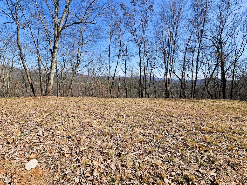 Lot 39 Merlin Trail/warbler Road Murphy, NC 28906 - Photo 11 of 19