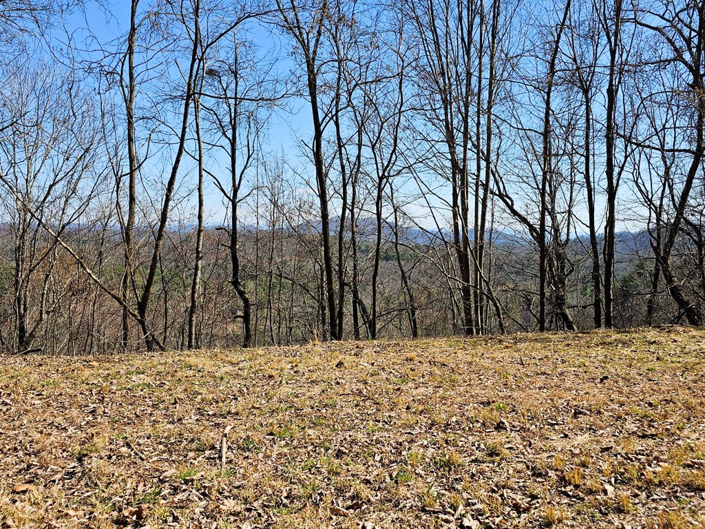 Lot 39 Merlin Trail/warbler Road Murphy, NC 28906 - Photo 12 of 19