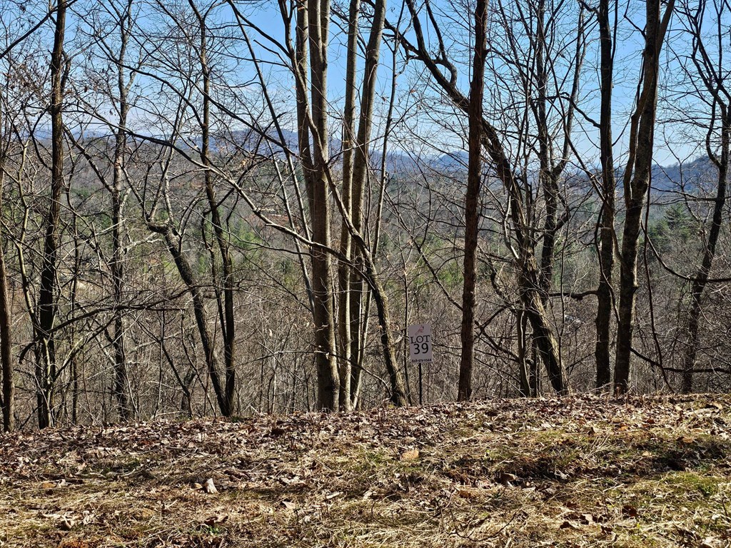 Lot 39 Merlin Trail/warbler Road Murphy, NC 28906 - Photo 13 of 19