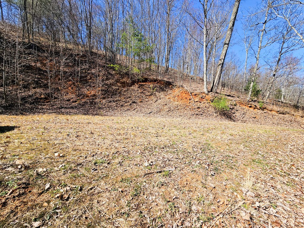 Lot 39 Merlin Trail/warbler Road Murphy, NC 28906 - Photo 14 of 19