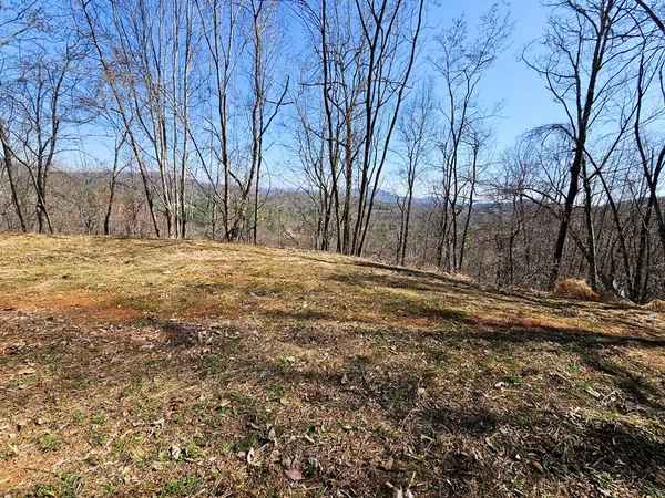 a view of dirt yard with large trees