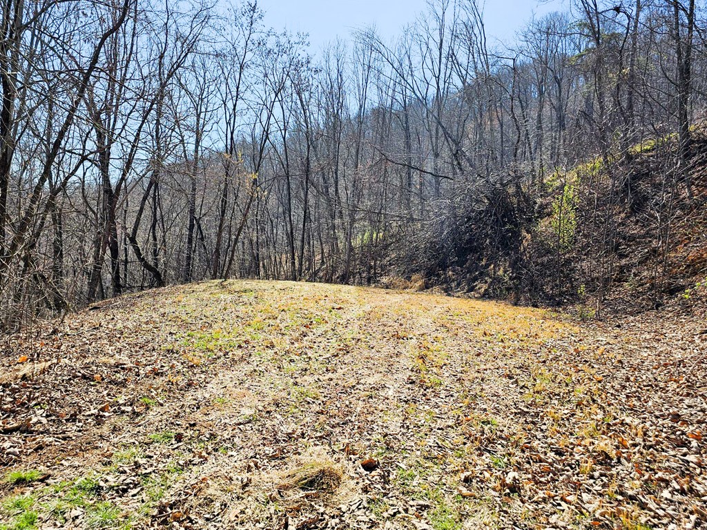 Lot 39 Merlin Trail/warbler Road Murphy, NC 28906 - Photo 16 of 19