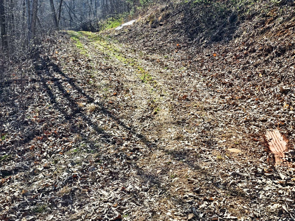 Lot 39 Merlin Trail/warbler Road Murphy, NC 28906 - Photo 17 of 19