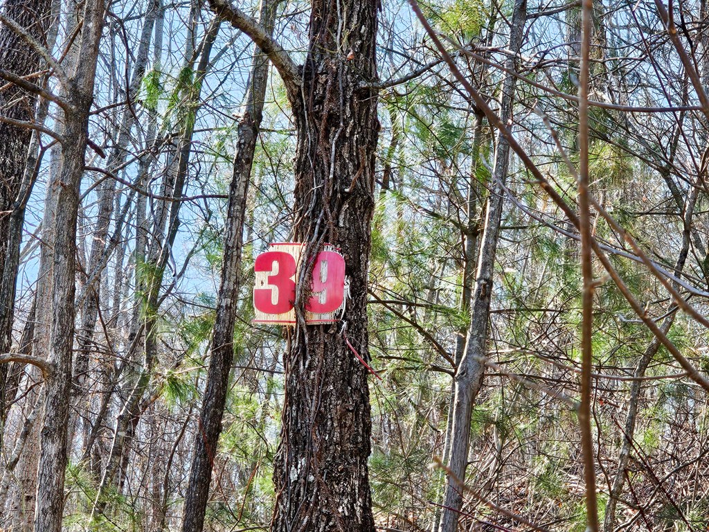 Lot 39 Merlin Trail/warbler Road Murphy, NC 28906 - Photo 18 of 19
