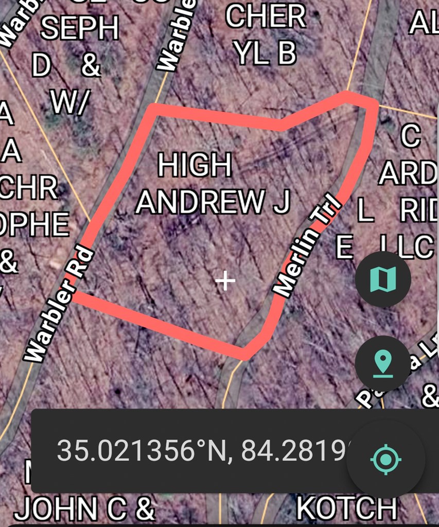 Lot 39 Merlin Trail/warbler Road Murphy, NC 28906 - Photo 19 of 19