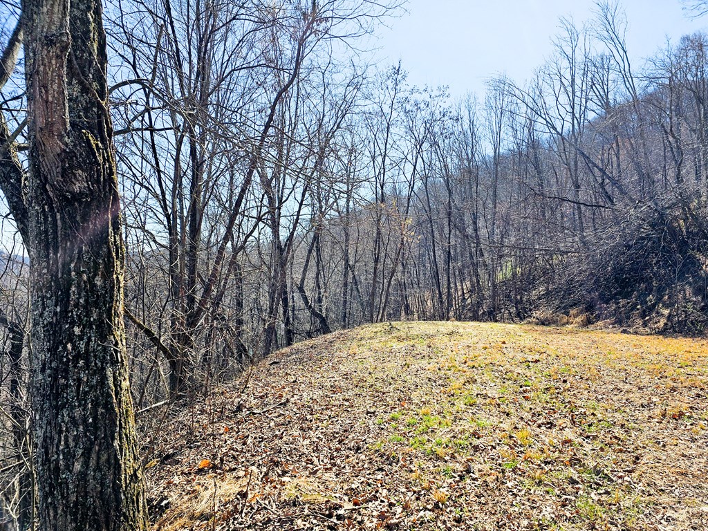 Lot 39 Merlin Trail/warbler Road Murphy, NC 28906 - Photo 2 of 19