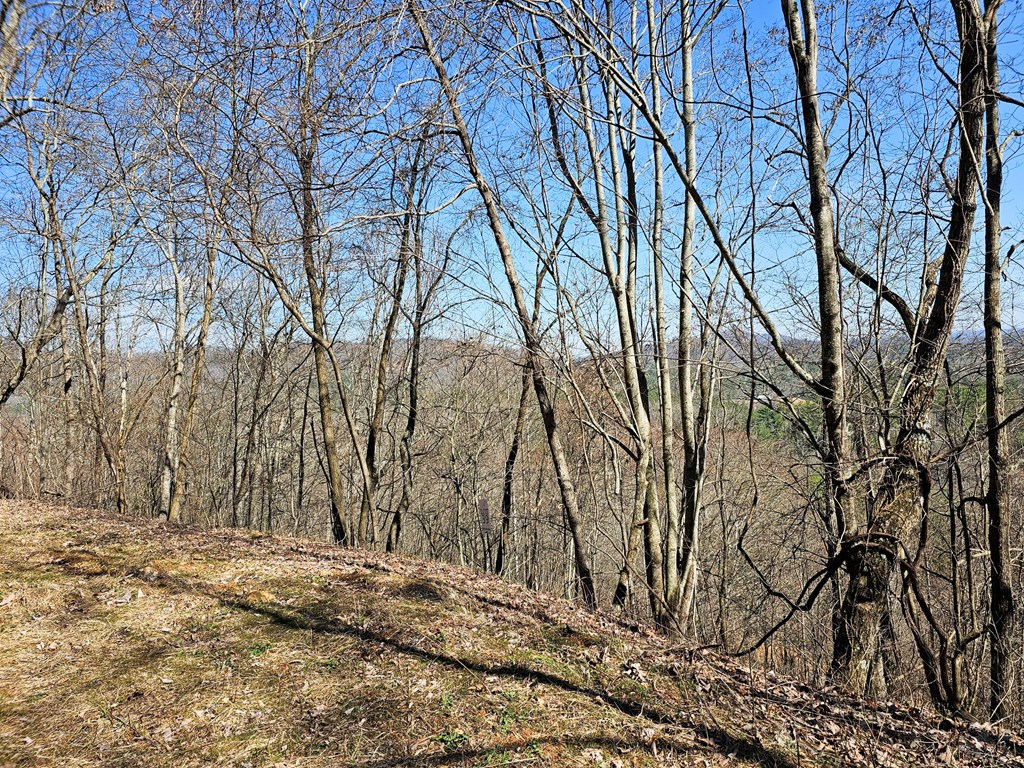 Lot 39 Merlin Trail/warbler Road Murphy, NC 28906 - Photo 4 of 19