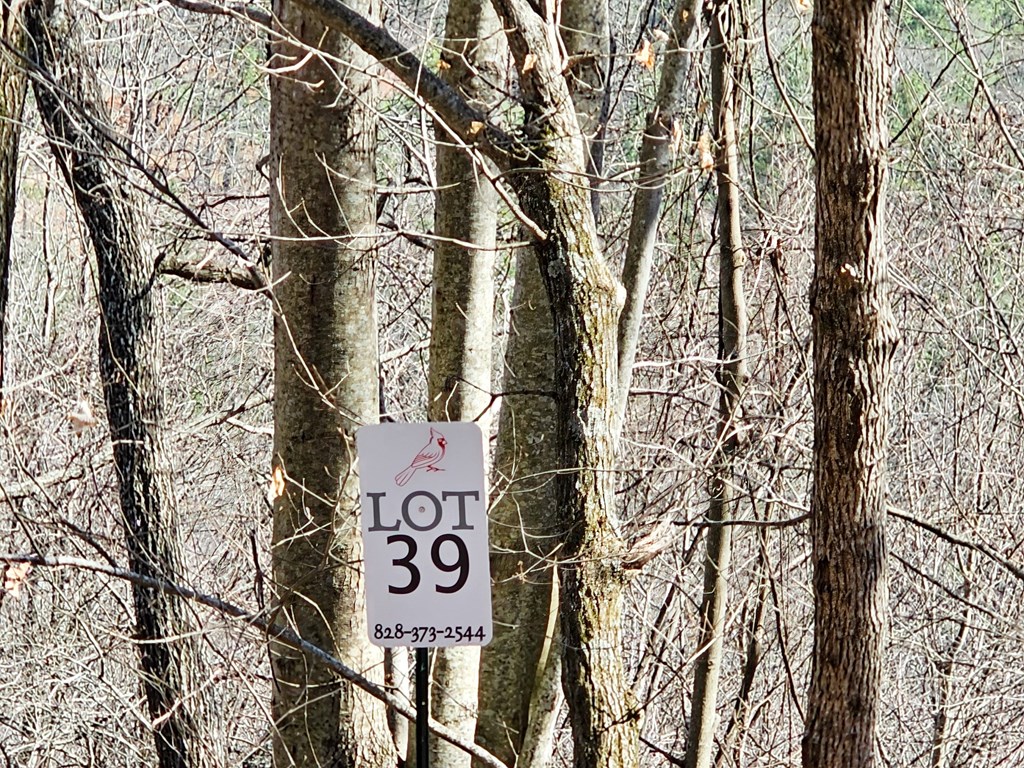 Lot 39 Merlin Trail/warbler Road Murphy, NC 28906 - Photo 5 of 19