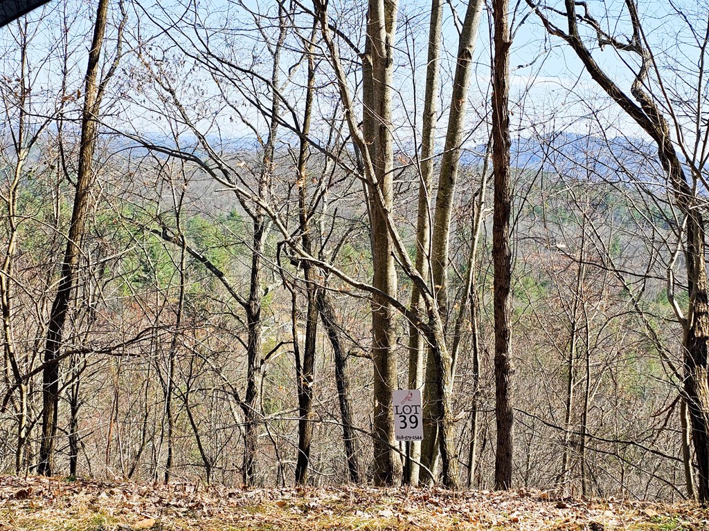 Lot 39 Merlin Trail/warbler Road Murphy, NC 28906 - Photo 6 of 19