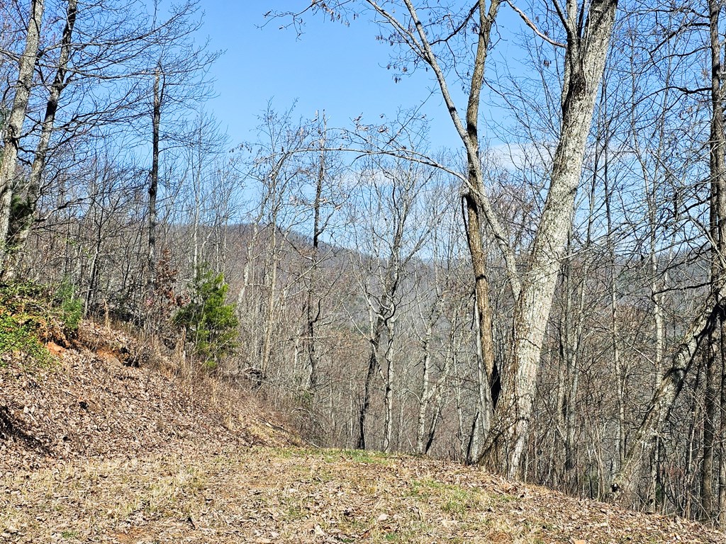 Lot 39 Merlin Trail/warbler Road Murphy, NC 28906 - Photo 7 of 19