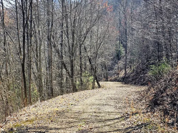a view of a yard covered in snow