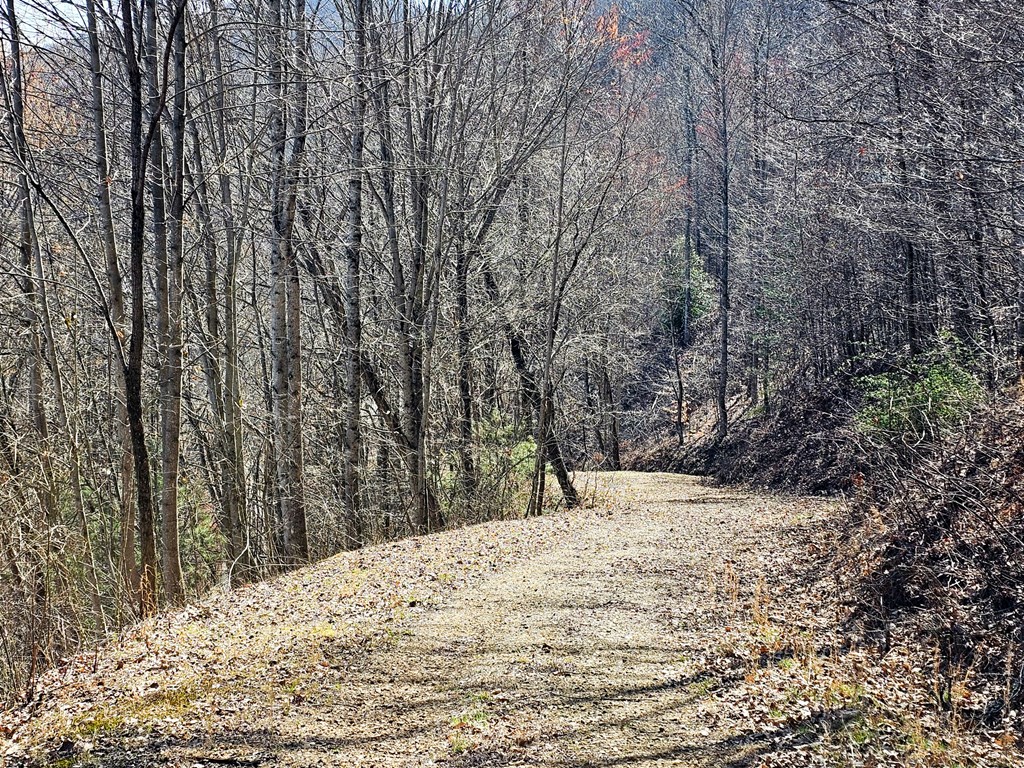 Lot 39 Merlin Trail/warbler Road Murphy, NC 28906 - Photo 8 of 19