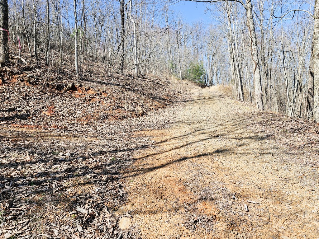 Lot 39 Merlin Trail/warbler Road Murphy, NC 28906 - Photo 10 of 19