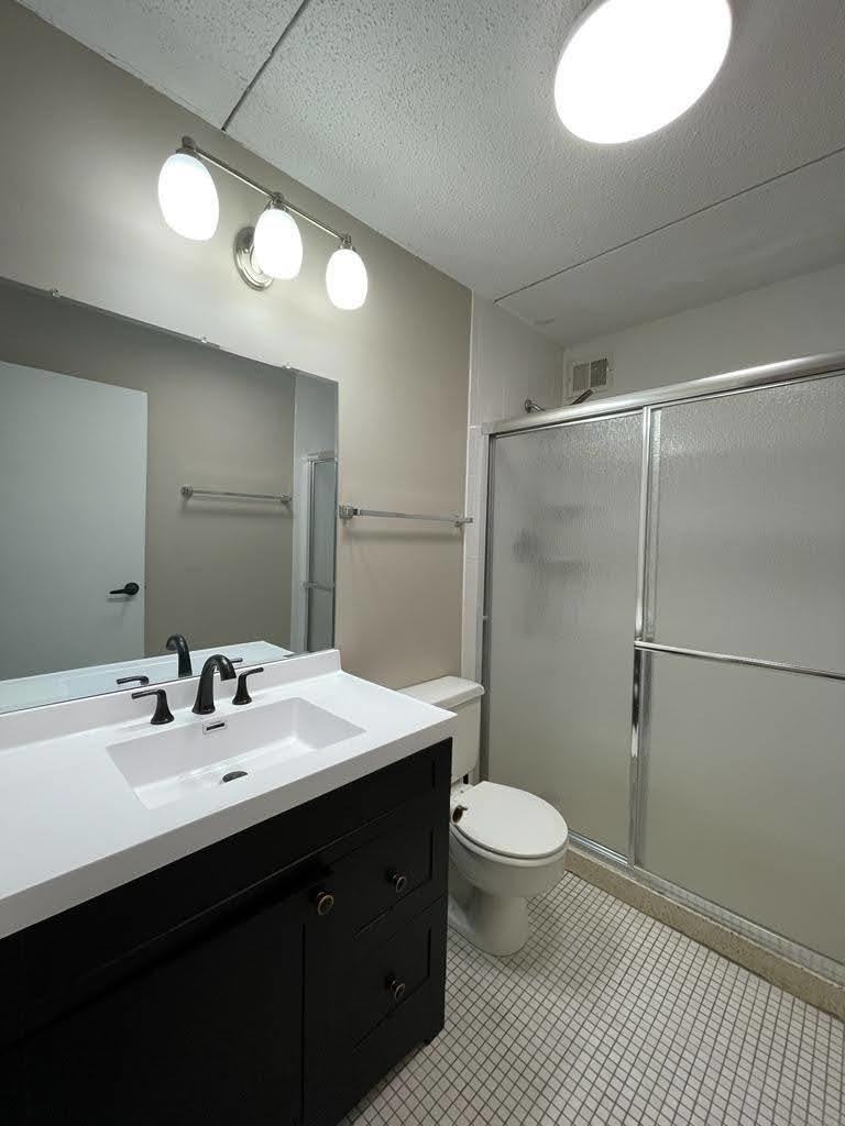 2015 South Finley Road, Unit 212 Lombard, IL 60148 - Photo 15 of 26 a bathroom with a sink a toilet a light fixture and a mirror