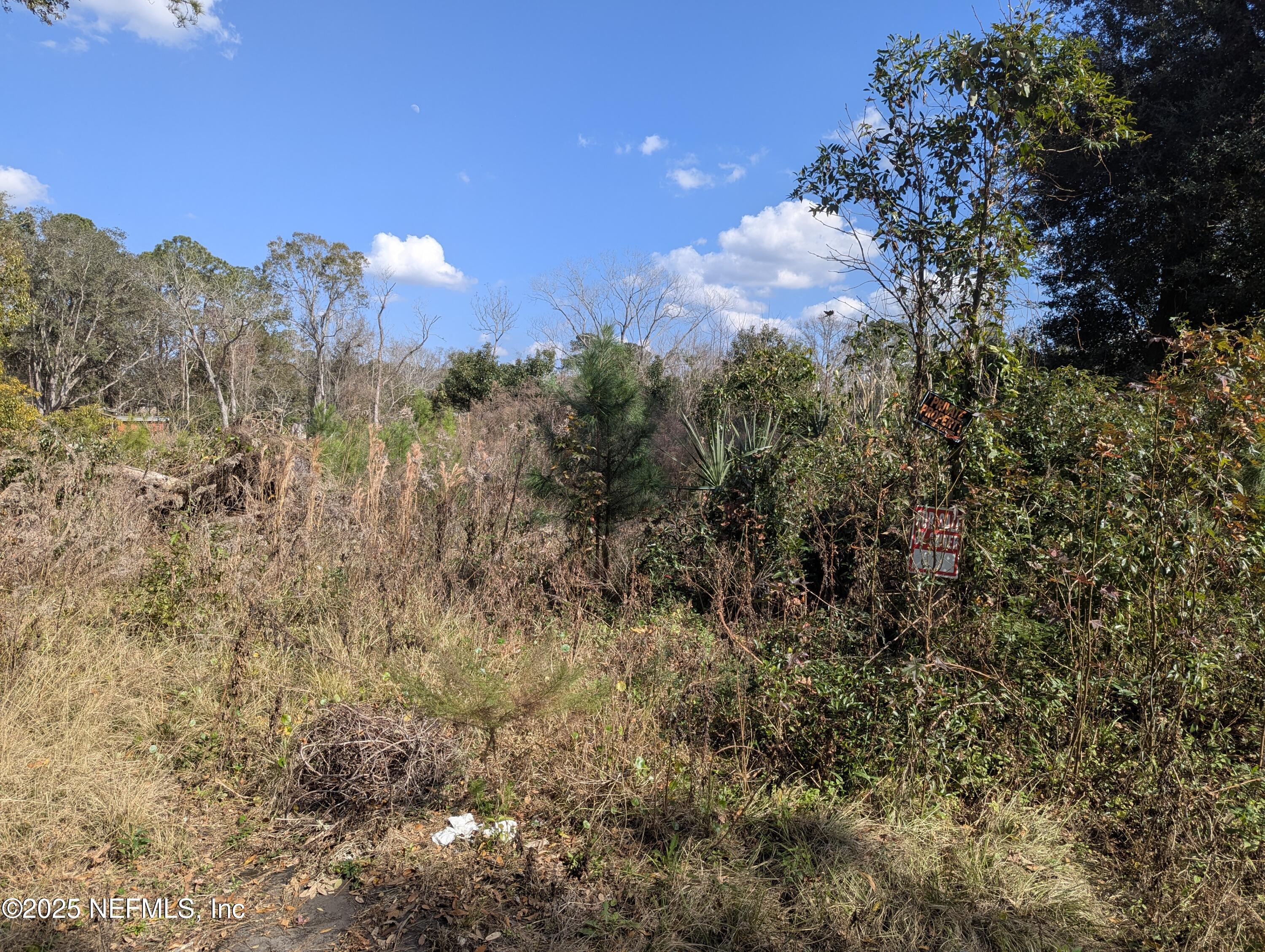 6187 Bagley Road Jacksonville, FL 32209 - Photo 3 of 5 lot