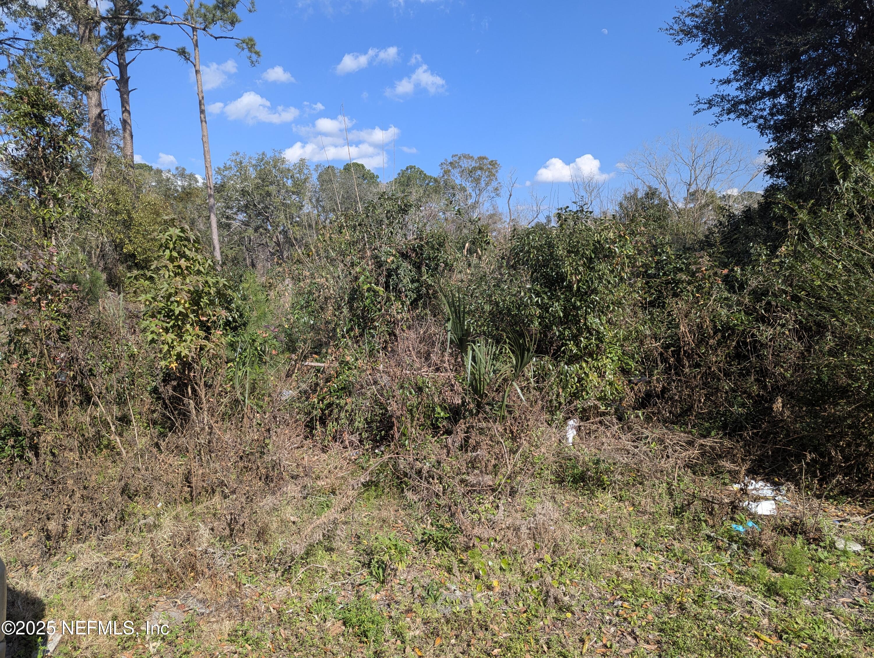 6187 Bagley Road Jacksonville, FL 32209 - Photo 4 of 5 PXL_20250206_191136722