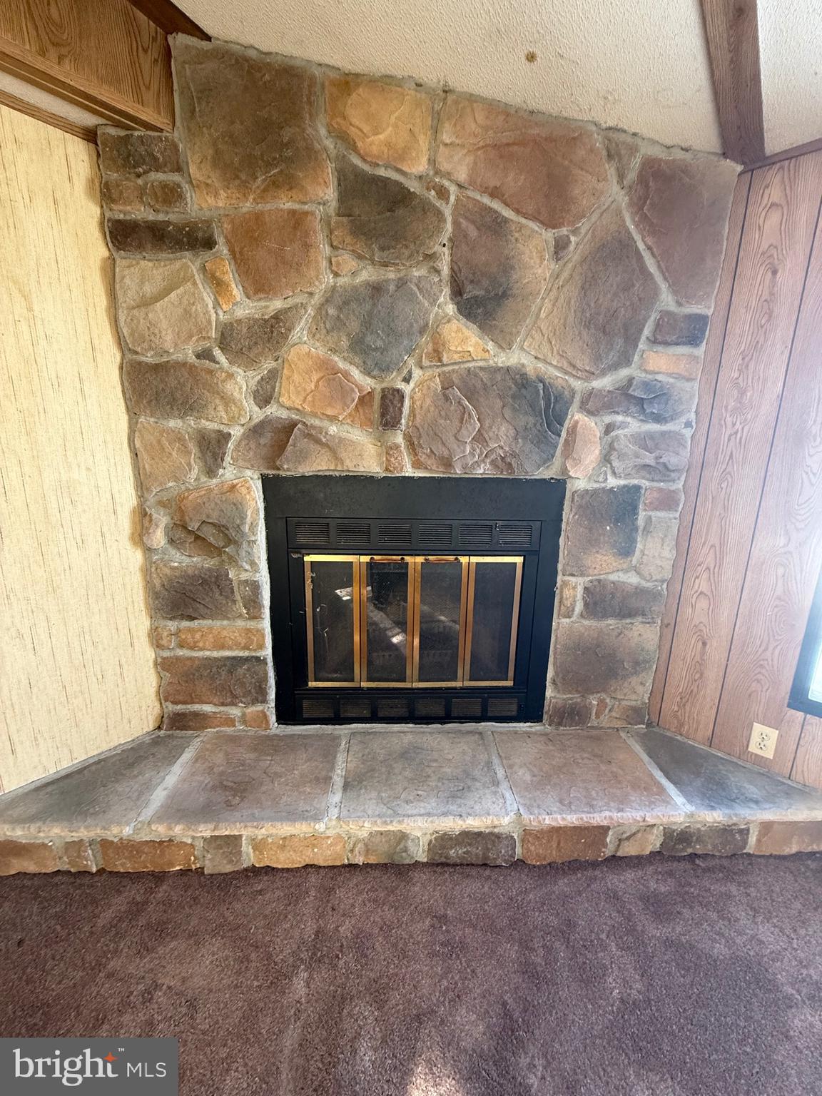 519 Canter Road, Unit 133 Wilmington, DE 19810 - Photo 6 of 14 Fireplace