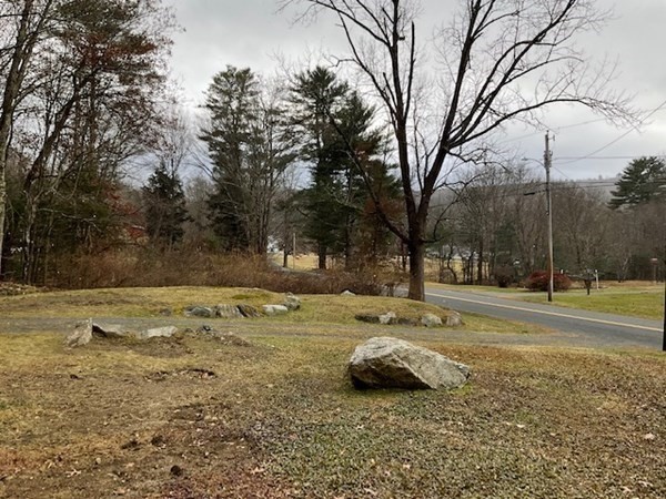567 Sylvester Road Northampton, MA 01062 - Photo 6 of 30 a view of a yard with a tree