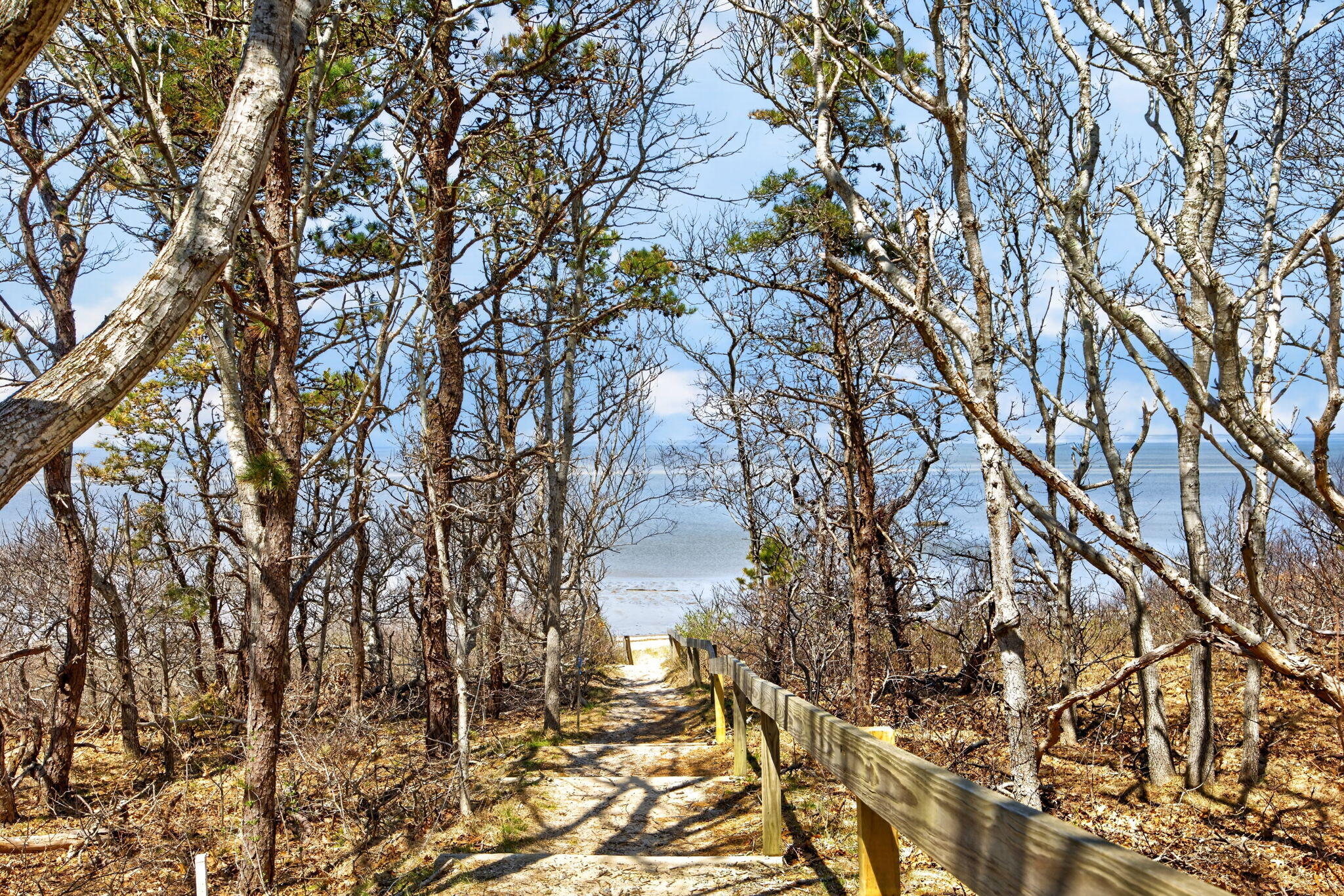 47 Flying Dragon Road Brewster, MA 02631 - Photo 61 of 81 39-39-PF0A5952