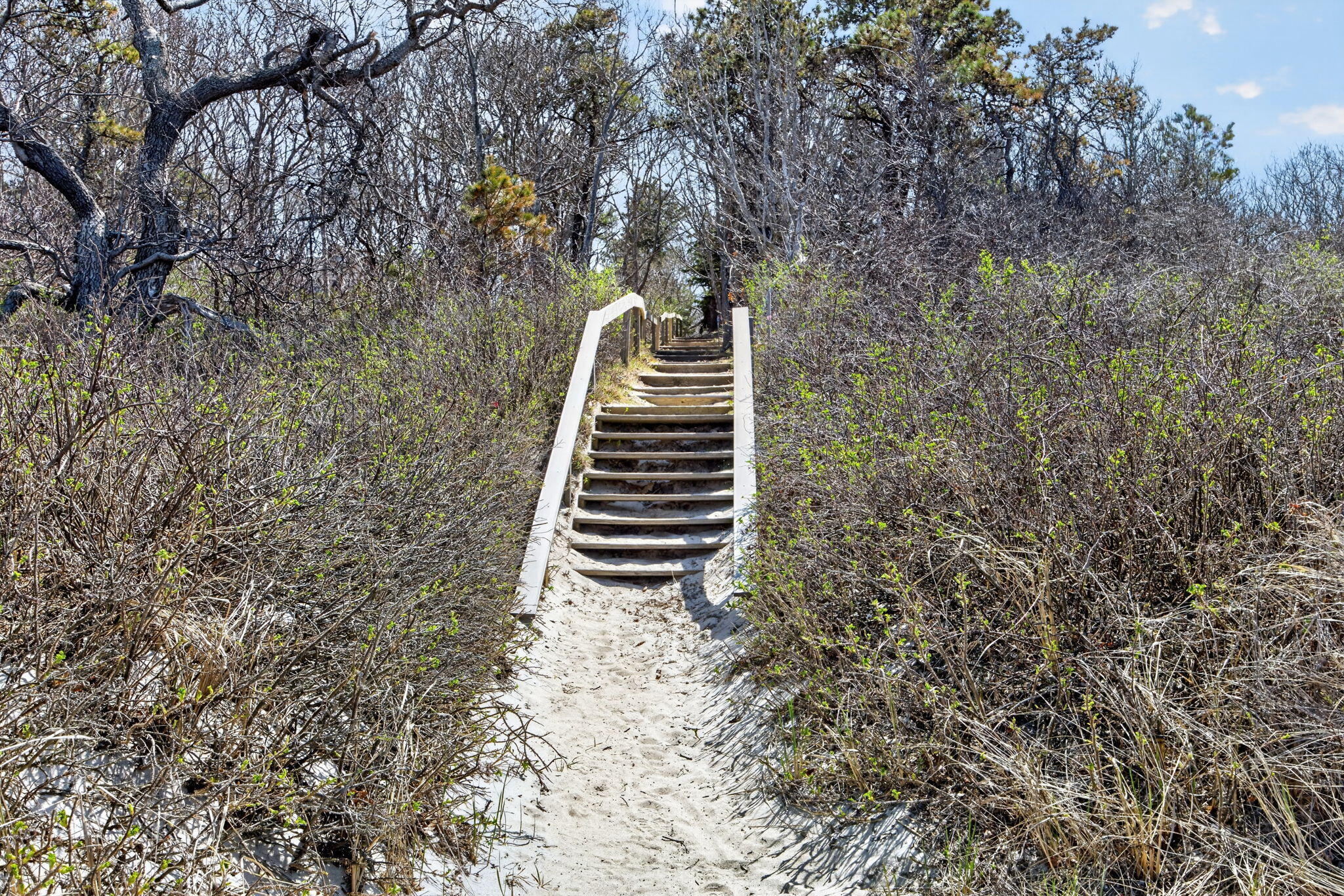 47 Flying Dragon Road Brewster, MA 02631 - Photo 62 of 81 106-BPF0A5957