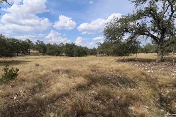 $117,000 | 97 Nott Branch Road, Harper, TX 78631