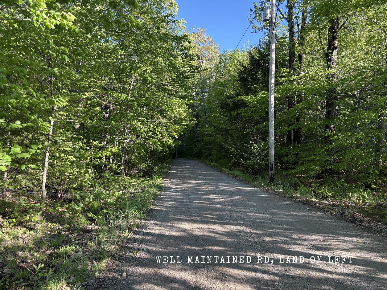 27 G Pease Hill Road Cornish, ME 04020 - Photo 11 of 25 Road