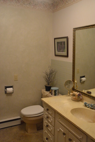 2006 Grand Detour Road Dixon, IL 61021 - Photo 9 of 22 a bathroom with a toilet a sink and mirror