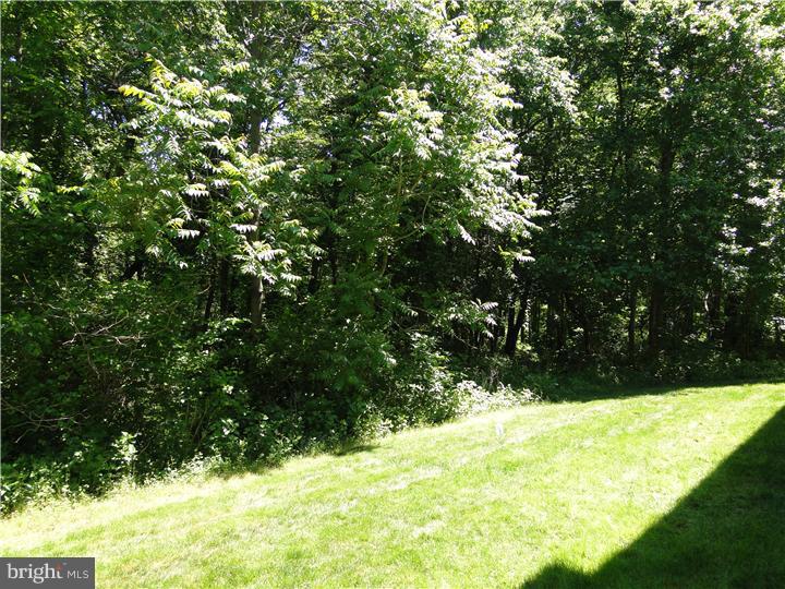 163 Natalie Road Delran, NJ 08075 - Photo 11 of 15 Gallery Image 11