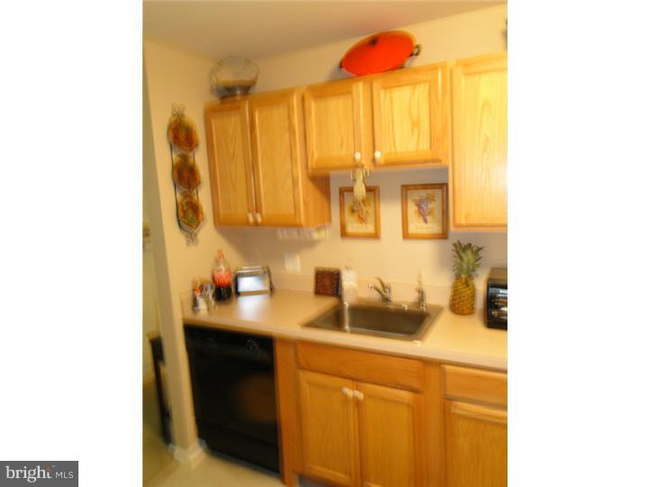 163 Natalie Road Delran, NJ 08075 - Photo 6 of 15 Kitchen