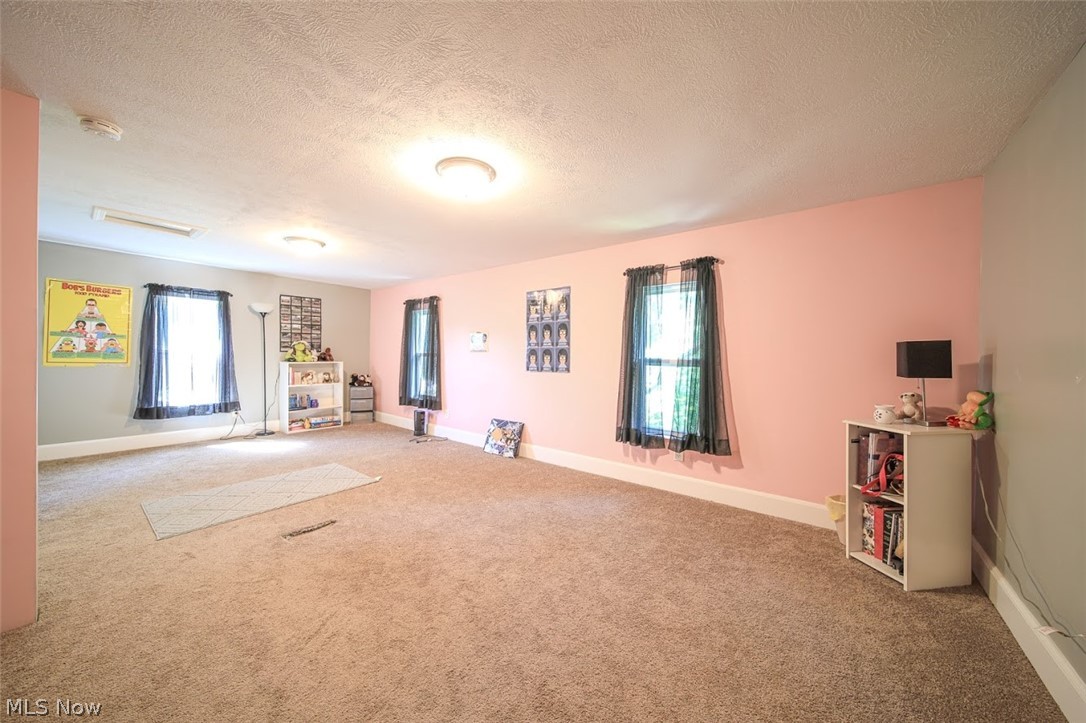 4183 South Ridge Road Perry, OH 44081 - Photo 28 of 35