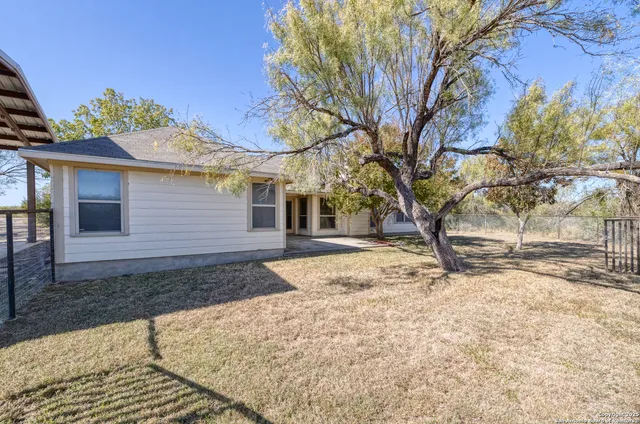a view of a yard with a large tree
