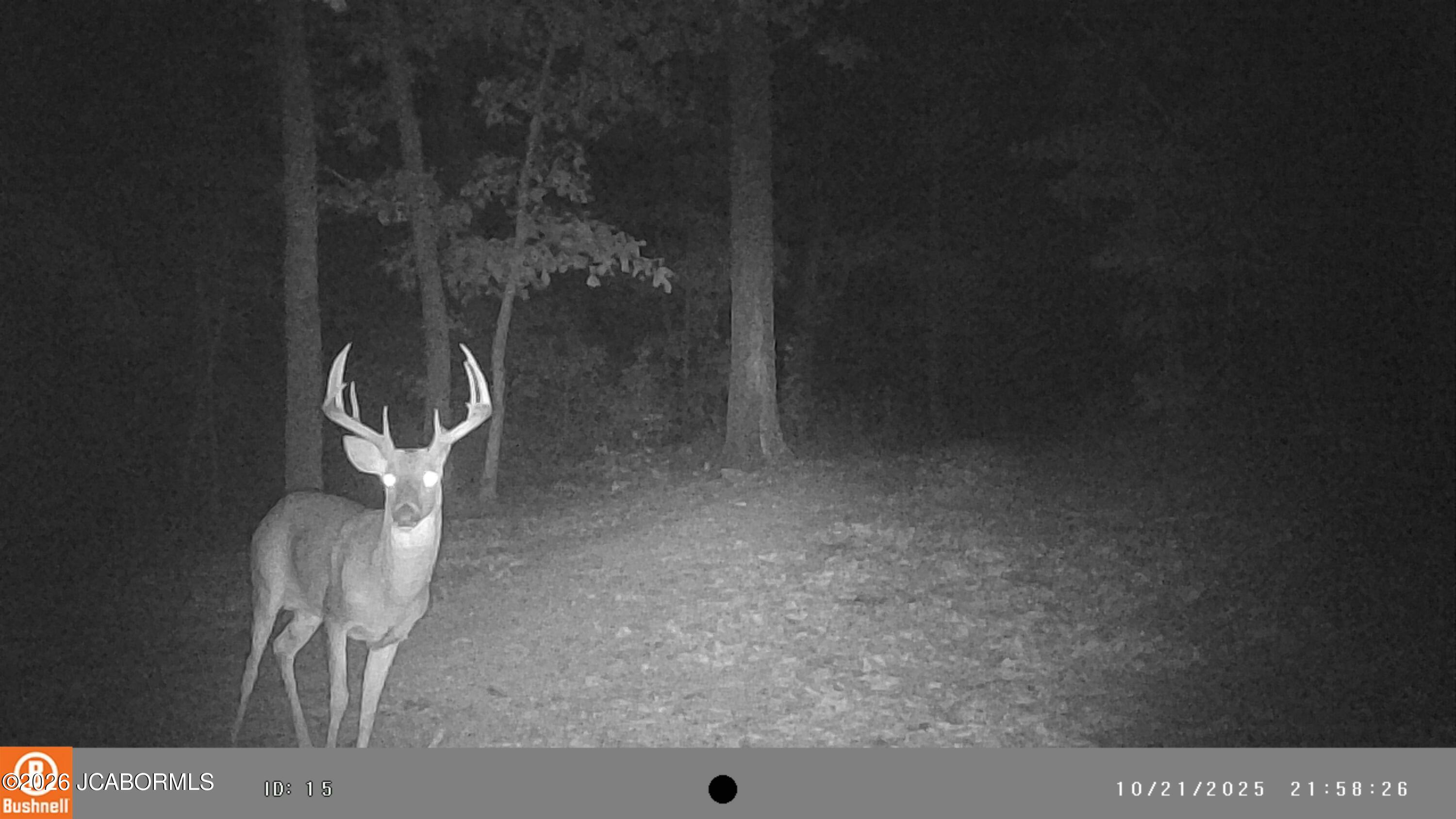 5754 Dry Branch Road St. Clair, MO 63077 - Photo 19 of 20