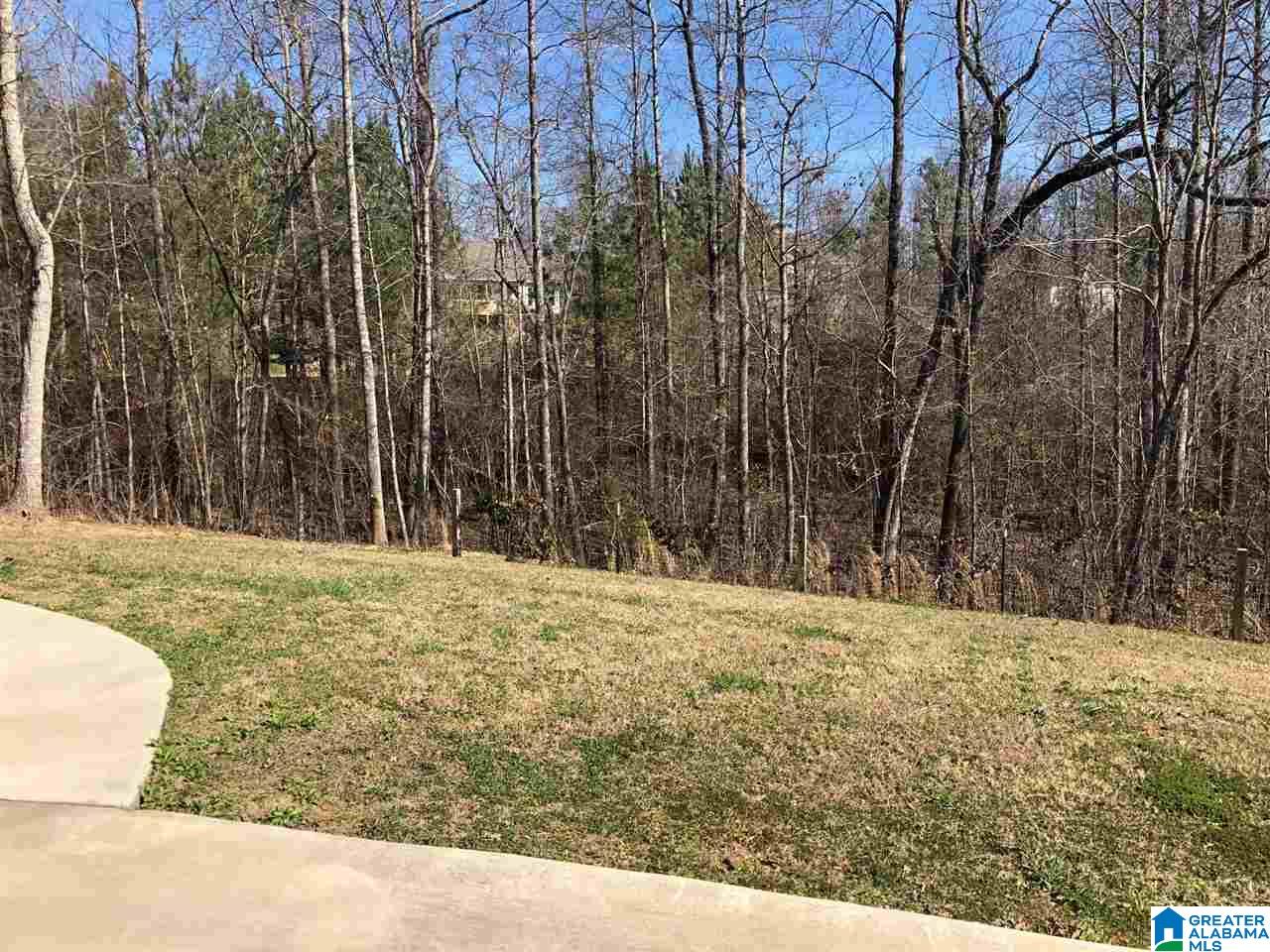 2515 Chelsea Way Warrior, AL 35180 - Photo 11 of 19