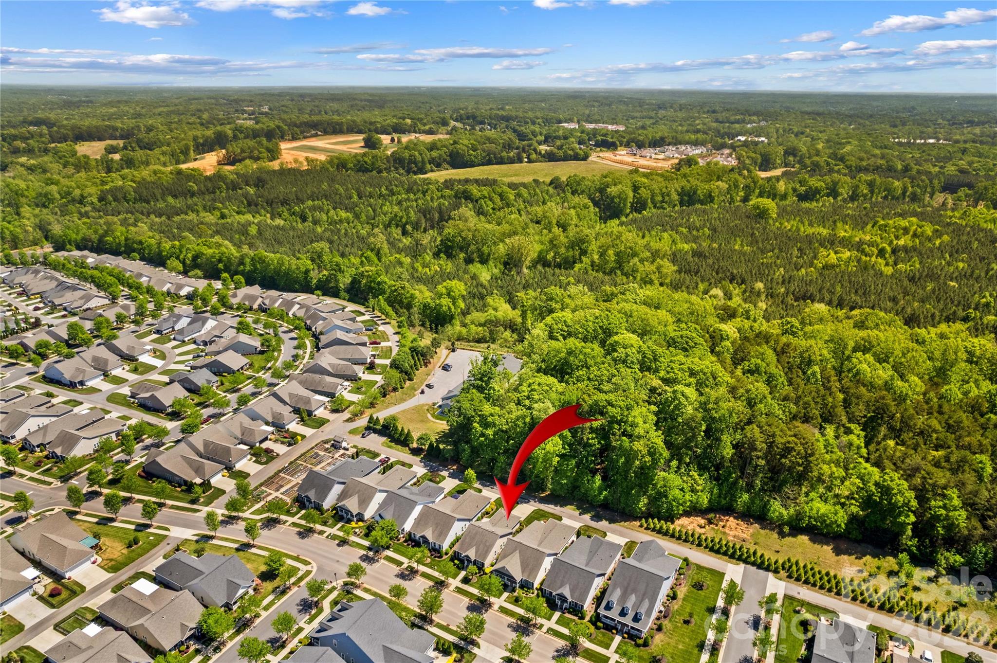 11516 Dublin Cres Road Cornelius, NC 28031 - Photo 29 of 36