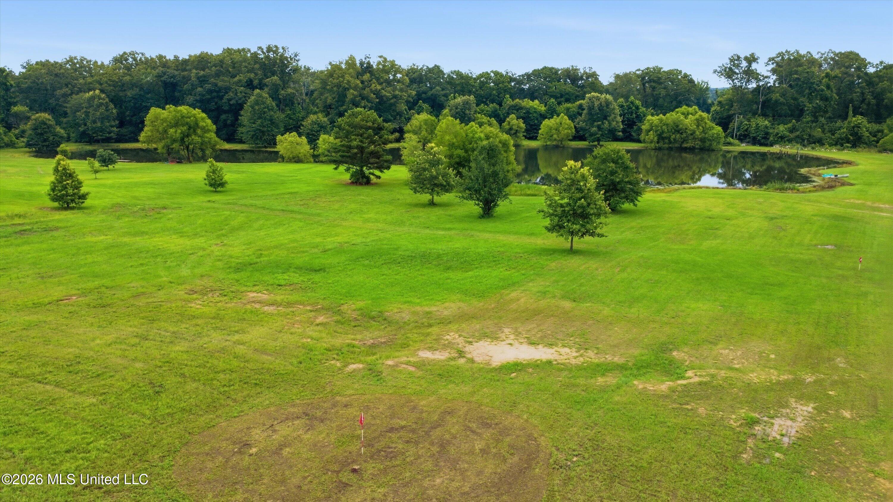 142 Iron Oak Ridge Brandon, MS 39042 - Photo 6 of 26 10-142_Iron_Oak_Ridgee_011