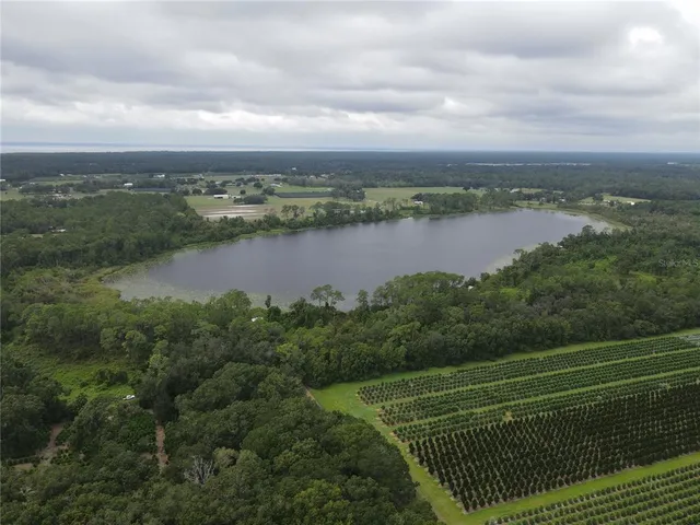 a view of a city and lake