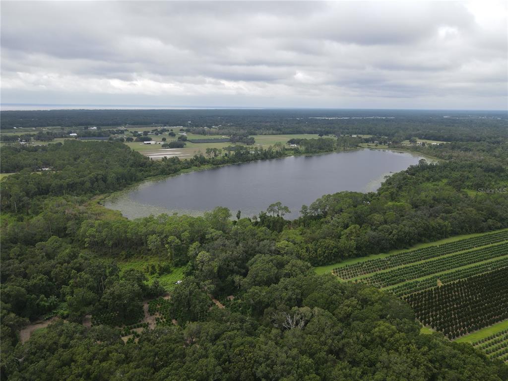 Turkey Shoot Road Pierson, FL 32180 - Photo 4 of 5 a view of a lake from a yard