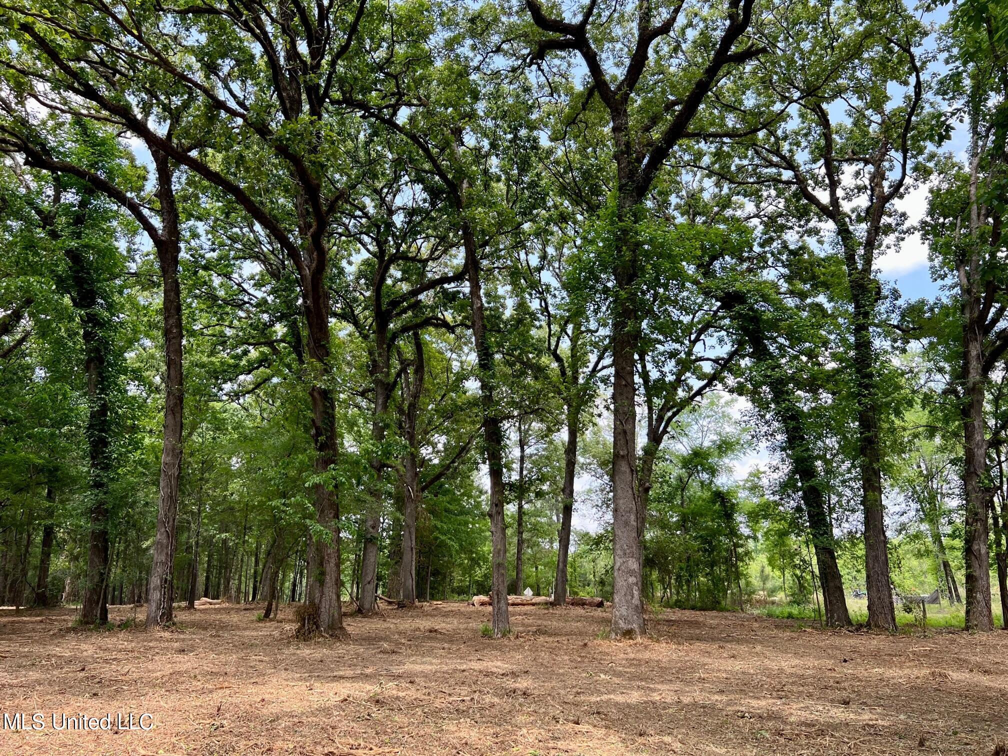 613 Ratliff Ferry Road Canton, MS 39046 - Photo 1 of 9 front