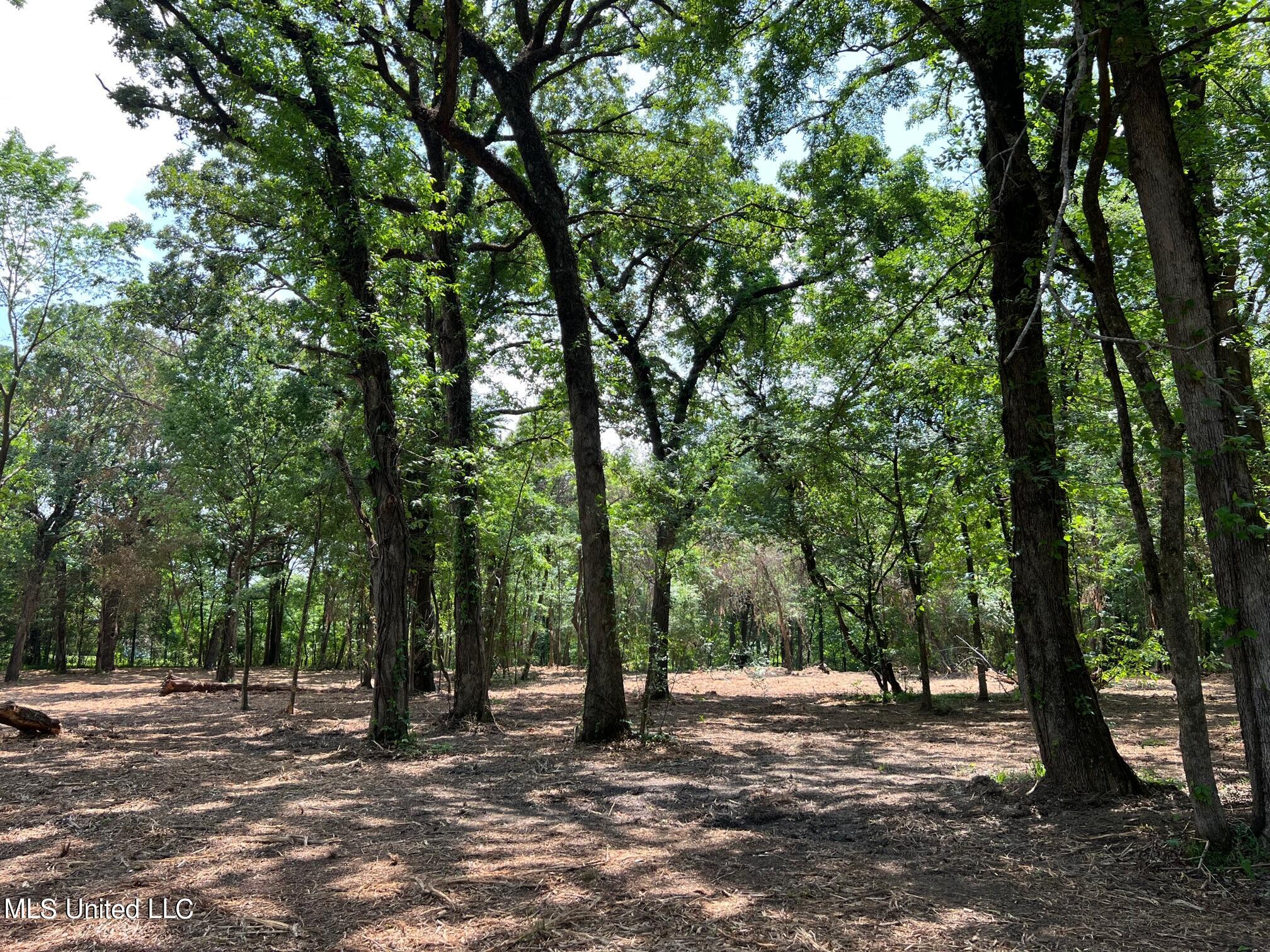 613 Ratliff Ferry Road Canton, MS 39046 - Photo 2 of 9 IMG_5934